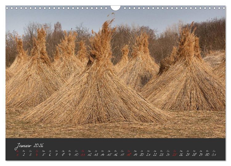 Produktbild: Natur erleben Seewinkel-Neusiedlersee (Wandkalender 2026 DIN A3 quer), CALVENDO Monatskalender