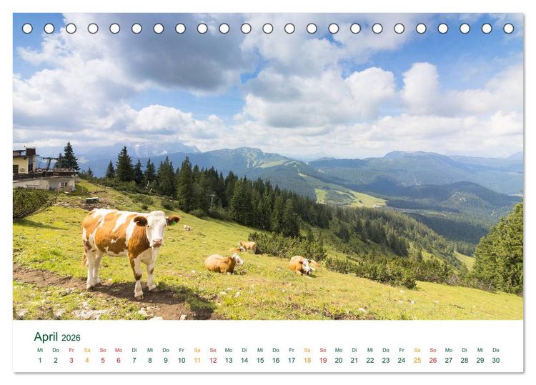 Produktbild: Auf der Winklmoosalm (Tischkalender 2026 DIN A5 quer), CALVENDO Monatskalender