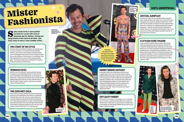Produktbild: 100% Unofficial Harry Styles Annual 2027