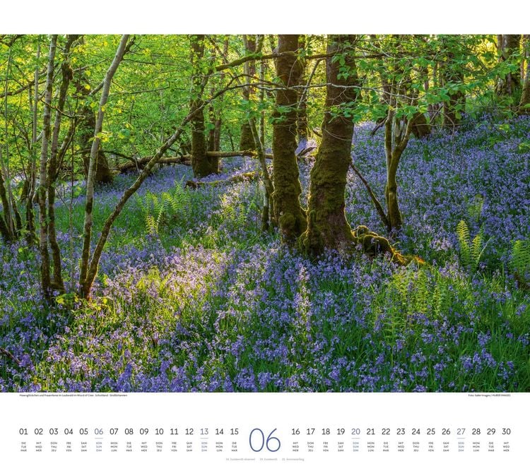 Produktbild: Wald Kalender 2027