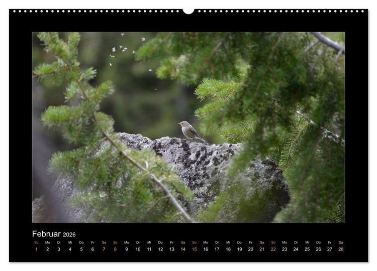 Produktbild: Yellowstone - Wunder der Natur (Wandkalender 2026 DIN A2 quer), CALVENDO Monatskalender
