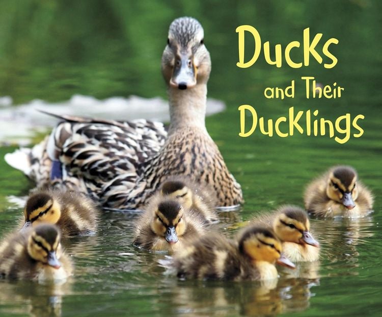 Produktbild: Ducks and Their Ducklings