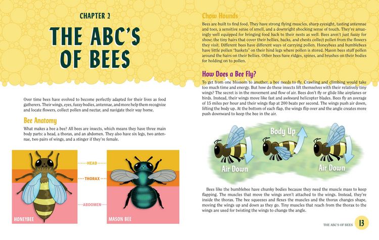 Produktbild: Turn This Book Into a Beehive!