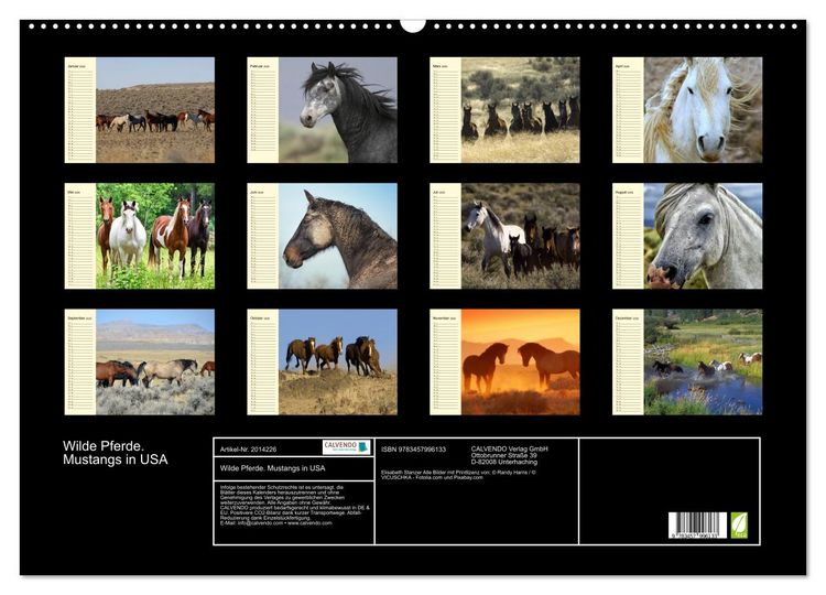 Produktbild: Wilde Pferde. Mustangs in USA (Wandkalender 2026 DIN A2 quer), CALVENDO Monatskalender