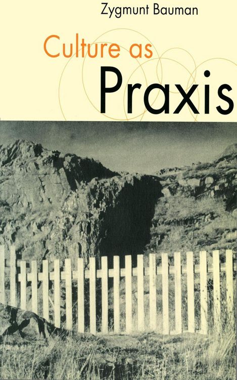 Produktbild: Culture as Praxis