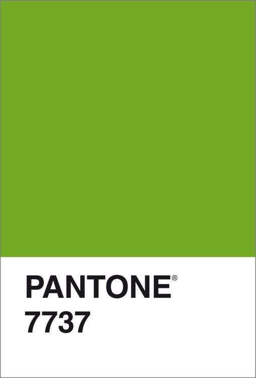 Produktbild: Eiseman, L: Pantone. Farbe in Kunst und Leben