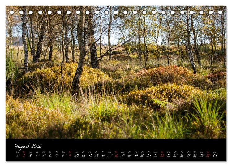 Produktbild: Hochmoor Hohes Venn (Tischkalender 2026 DIN A5 quer), CALVENDO Monatskalender