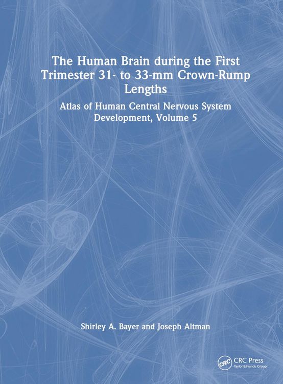 Produktbild: The Human Brain during the First Trimester 31- to 33-mm Crown-Rump Lengths