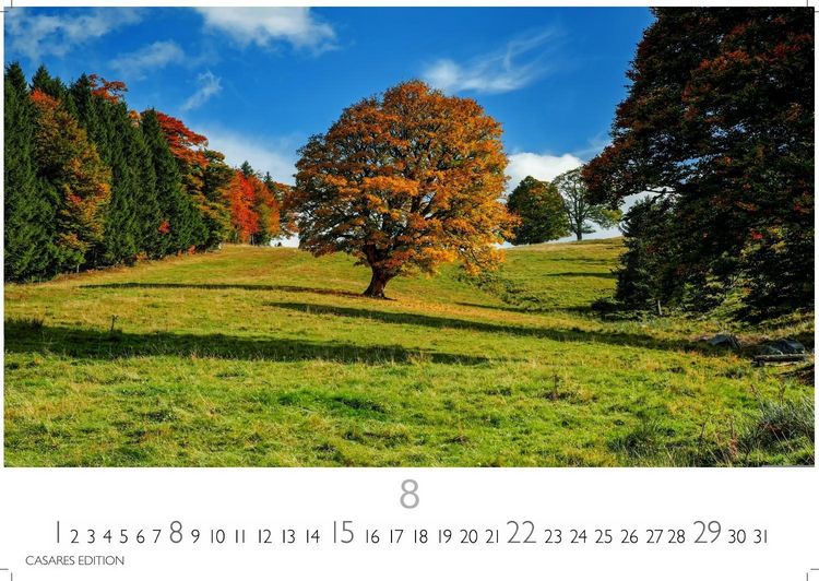 Produktbild: Wald & Natur Kalender 2027 &ndash; Wandkalender | Fotokalender Naturkalender Gro&szlig;format 35x50cm - Nat&uuml;rliche Sch&ouml;nheit & Ruhe f&uuml;r jeden Monat .