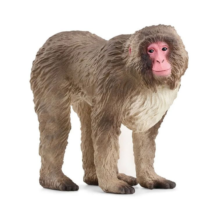 Produktbild: schleich&reg; Wild Life Japanmakak 5,5cm