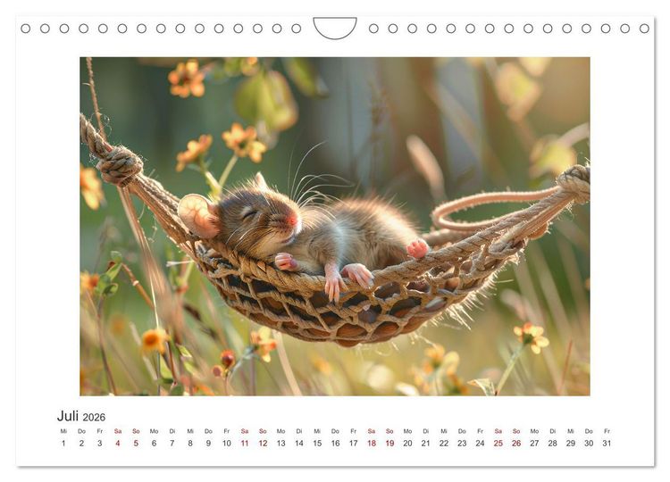 Produktbild: Einfach mal abh&auml;ngen (Wandkalender 2026 DIN A4 quer), CALVENDO Monatskalender