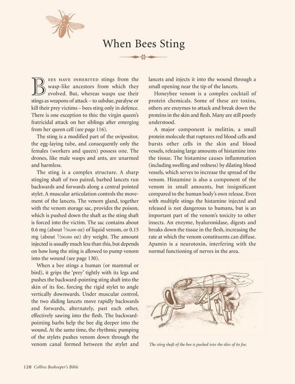 Produktbild: Collins Beekeeper's Bible
