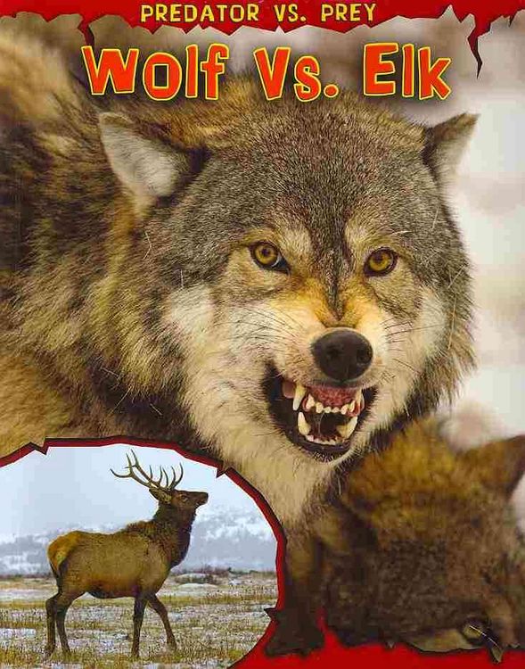 Produktbild: Wolf Vs Elk