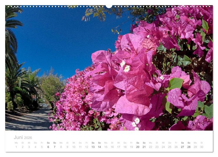 Produktbild: Sehnsucht nach Fuerteventura (Wandkalender 2026 DIN A2 quer), CALVENDO Monatskalender