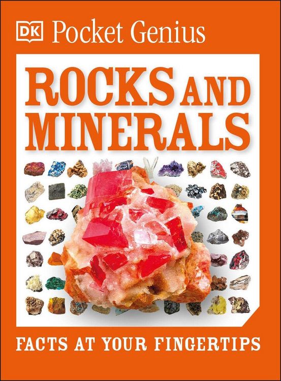 Produktbild: Pocket Genius Rocks and Minerals