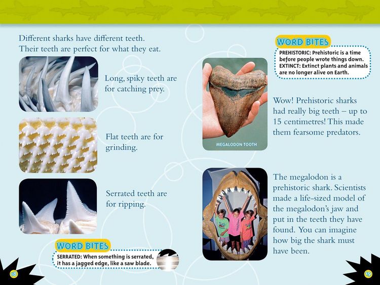 Produktbild: Sharks