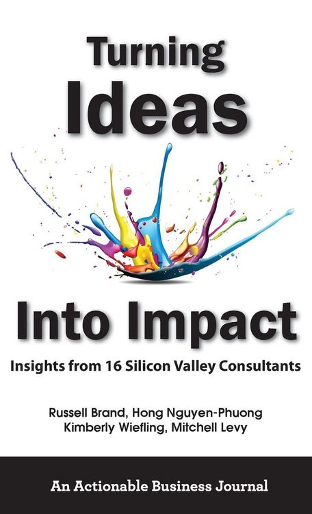 Produktbild: Turning Ideas Into Impact: Insights from 16 Silicon Valley Consultants