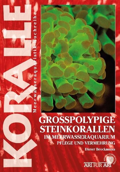 Produktbild: Grosspolypige Steinkorallen im Meerwasseraquarium