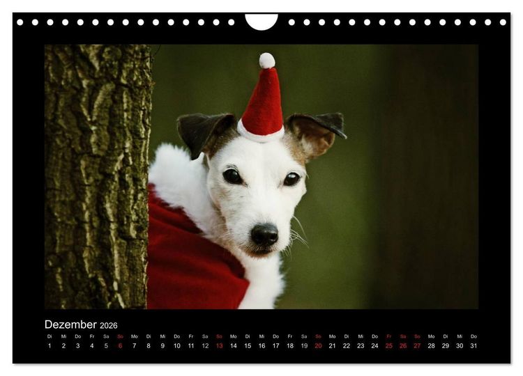 Produktbild: Die Parsons (Wandkalender 2026 DIN A4 quer), CALVENDO Monatskalender