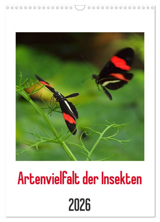 Produktbild: Artenvielfalt der Insekten (Wandkalender 2026 DIN A3 hoch), CALVENDO Monatskalender