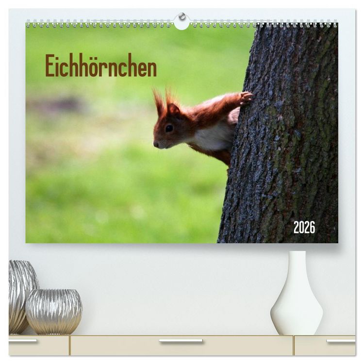 Produktbild: Eichh&ouml;rnchen (hochwertiger Premium Wandkalender 2026 DIN A2 quer), Kunstdruck in Hochglanz
