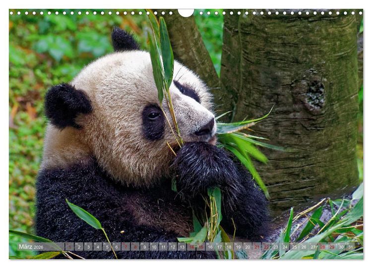 Produktbild: neunziggrad I photoart: china (Wandkalender 2026 DIN A3 quer), CALVENDO Monatskalender