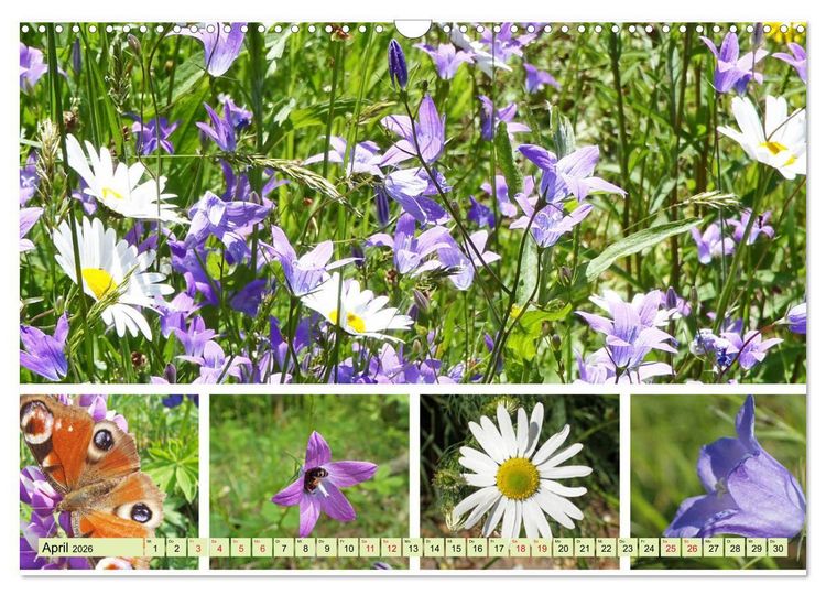 Produktbild: Bl&uuml;tenmeer am Wegesrand (Wandkalender 2026 DIN A3 quer), CALVENDO Monatskalender
