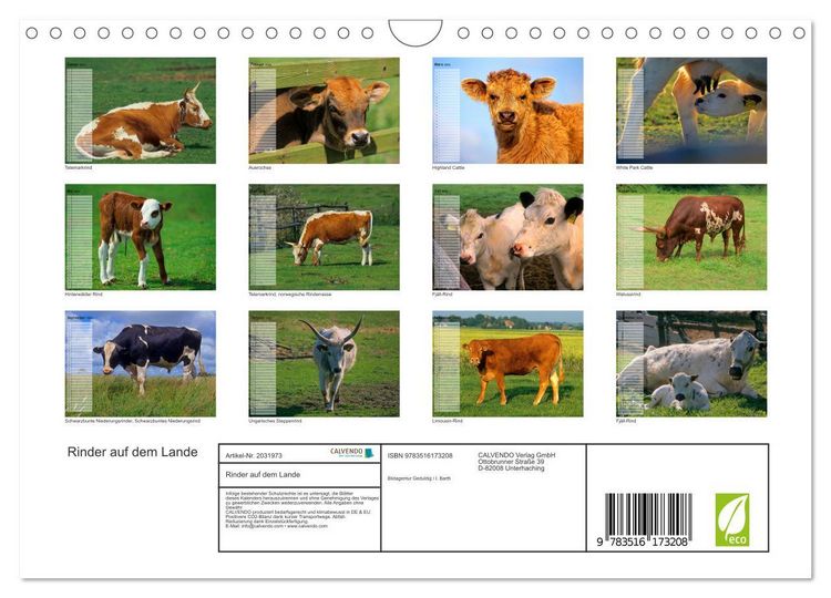 Produktbild: Rinder auf dem Lande (Wandkalender 2026 DIN A4 quer), CALVENDO Monatskalender