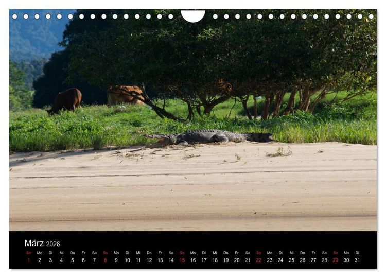 Produktbild: Wildes Australien - Naturparadies 5. Kontinent (Wandkalender 2026 DIN A4 quer), CALVENDO Monatskalender