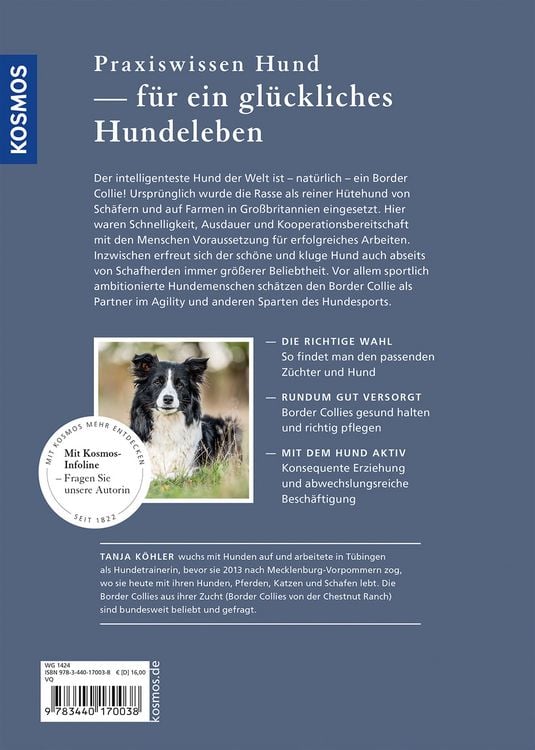 Produktbild: Border Collie