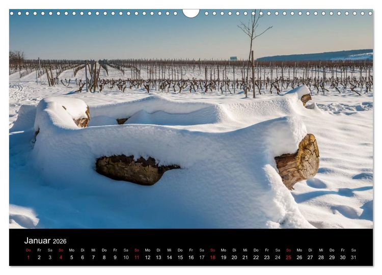 Produktbild: Ingelheim und Umgebung (Wandkalender 2026 DIN A3 quer), CALVENDO Monatskalender