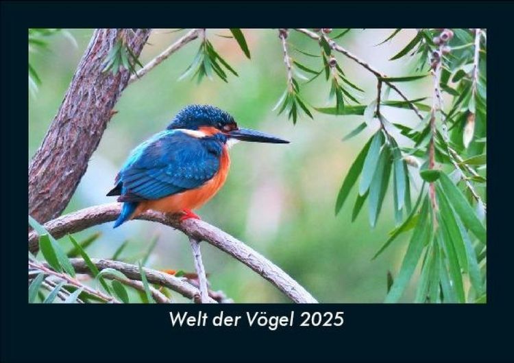 Produktbild: Welt der V&ouml;gel 2025 Fotokalender DIN A5