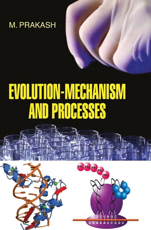 Produktbild: Evolution-Mechanism and Process