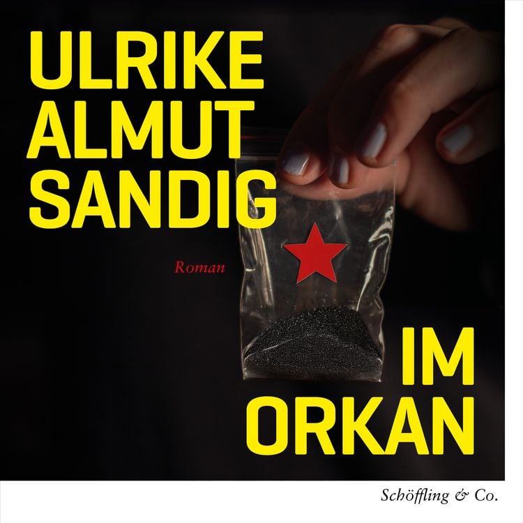 Produktbild: Im Orkan