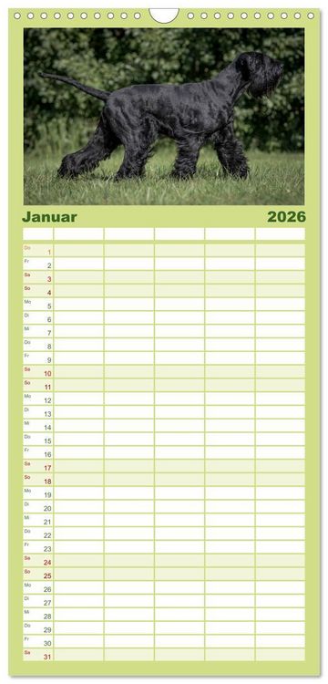 Produktbild: Familienplaner 2026 - Schnauzer... von Zwergen und Riesen 2026 mit 5 Spalten (Wandkalender, 21 x 45 cm) CALVENDO