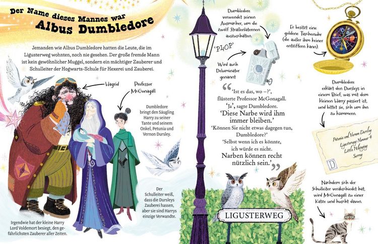 Produktbild: Potter Guides: Professor Dumbledore