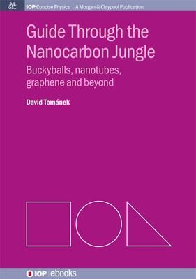 Produktbild: Guide through the Nanocarbon Jungle