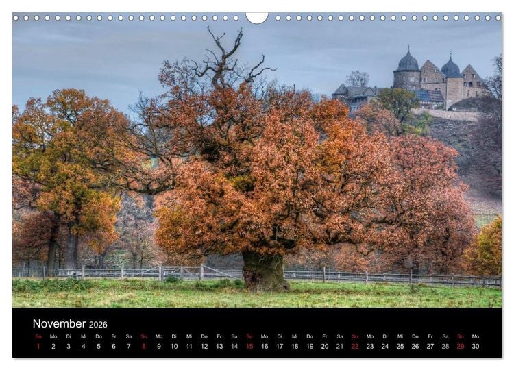 Produktbild: Baum-Variationen (Wandkalender 2026 DIN A3 quer), CALVENDO Monatskalender