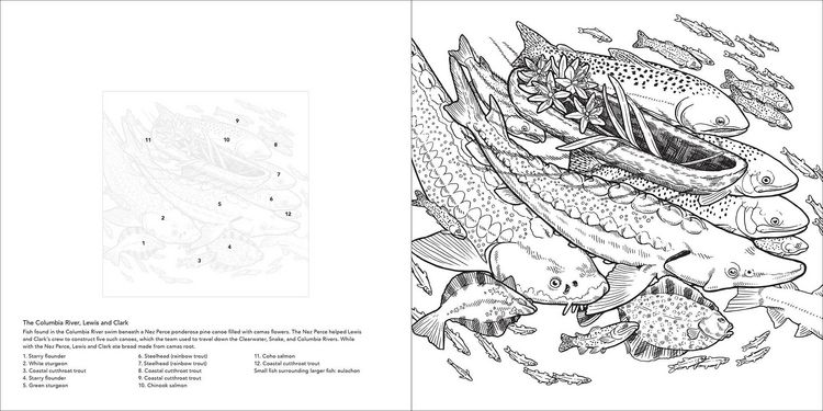 Produktbild: Color the Pacific Northwest