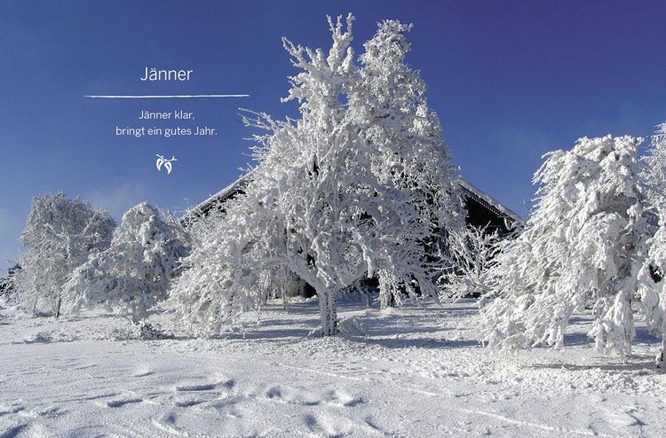 Produktbild: Das gro&szlig;e kleine Buch: Mein Garten im Winter