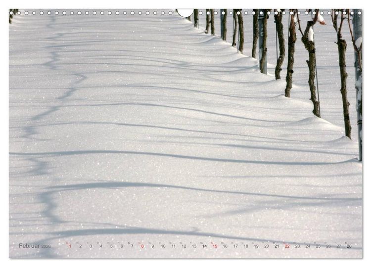 Produktbild: Im Baden-Badener Rebland 2026 (Wandkalender 2026 DIN A3 quer), CALVENDO Monatskalender