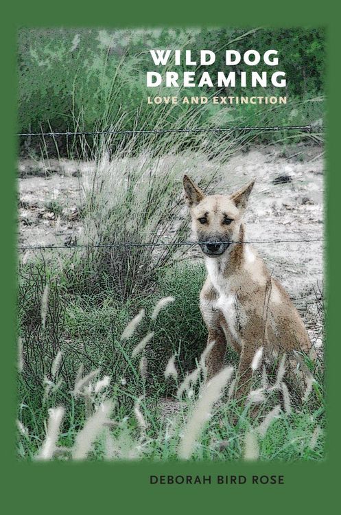 Produktbild: Wild Dog Dreaming