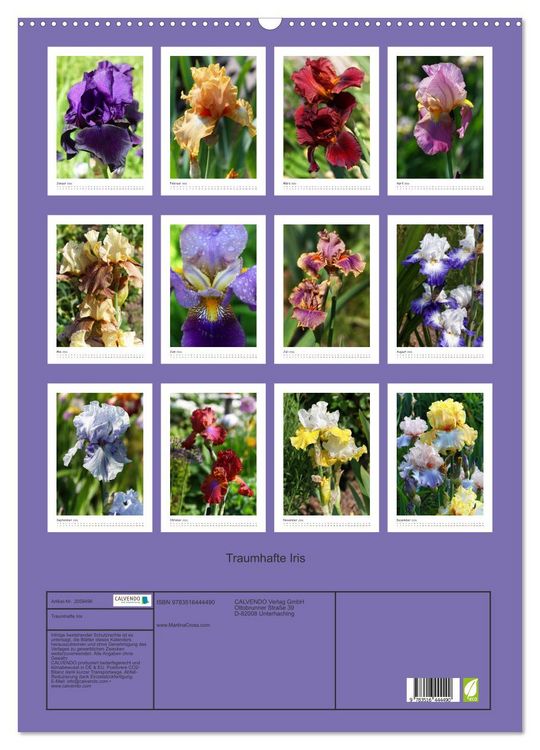Produktbild: Traumhafte Iris (Wandkalender 2026 DIN A2 hoch), CALVENDO Monatskalender