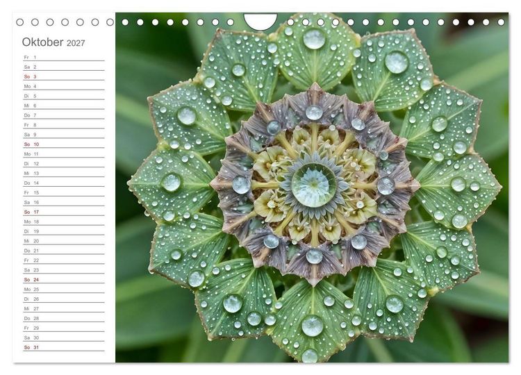 Produktbild: Natural Mandalas - Kraftvolle KI Mandalas aus Naturmaterialien (Wandkalender 2027 DIN A4 quer), CALVENDO Monatskalender