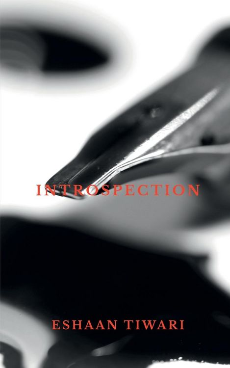 Produktbild: Introspection
