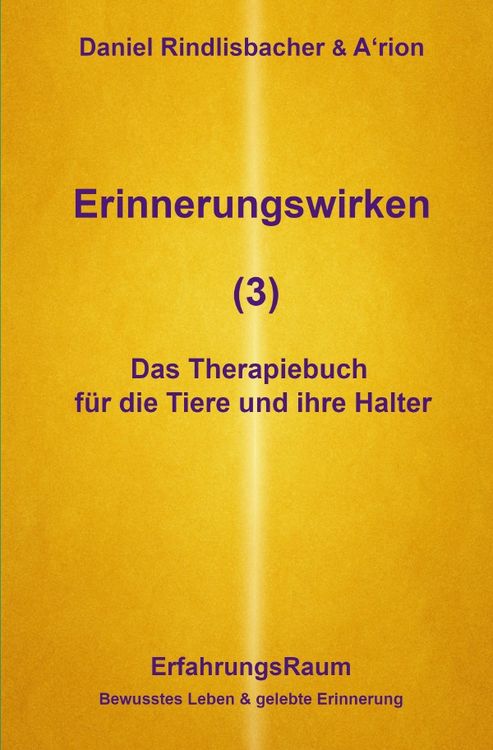 Produktbild: Erinnerungswirken / Erinnerungswirken (3)