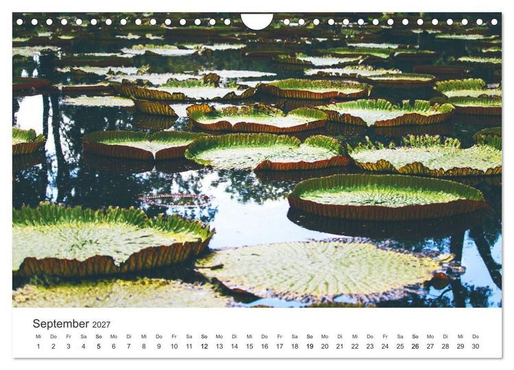 Produktbild: Traumhaftes Mauritius (Wandkalender 2027 DIN A4 quer), CALVENDO Monatskalender