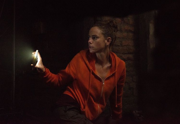 Produktbild: Crawl (4K Ultra HD) (+ Blu-ray)