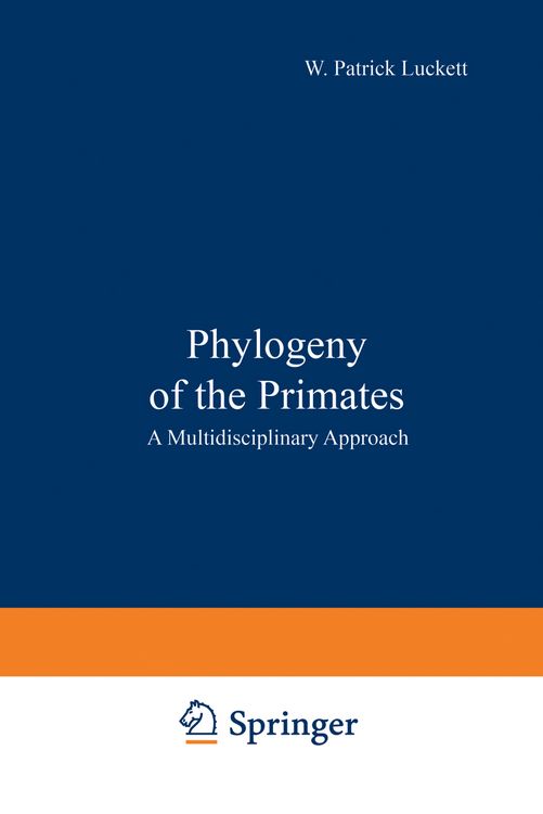 Produktbild: Phylogeny of the Primates