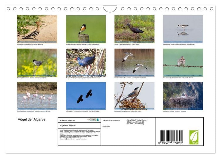 Produktbild: V&ouml;gel der Algarve (Wandkalender 2026 DIN A4 quer), CALVENDO Monatskalender
